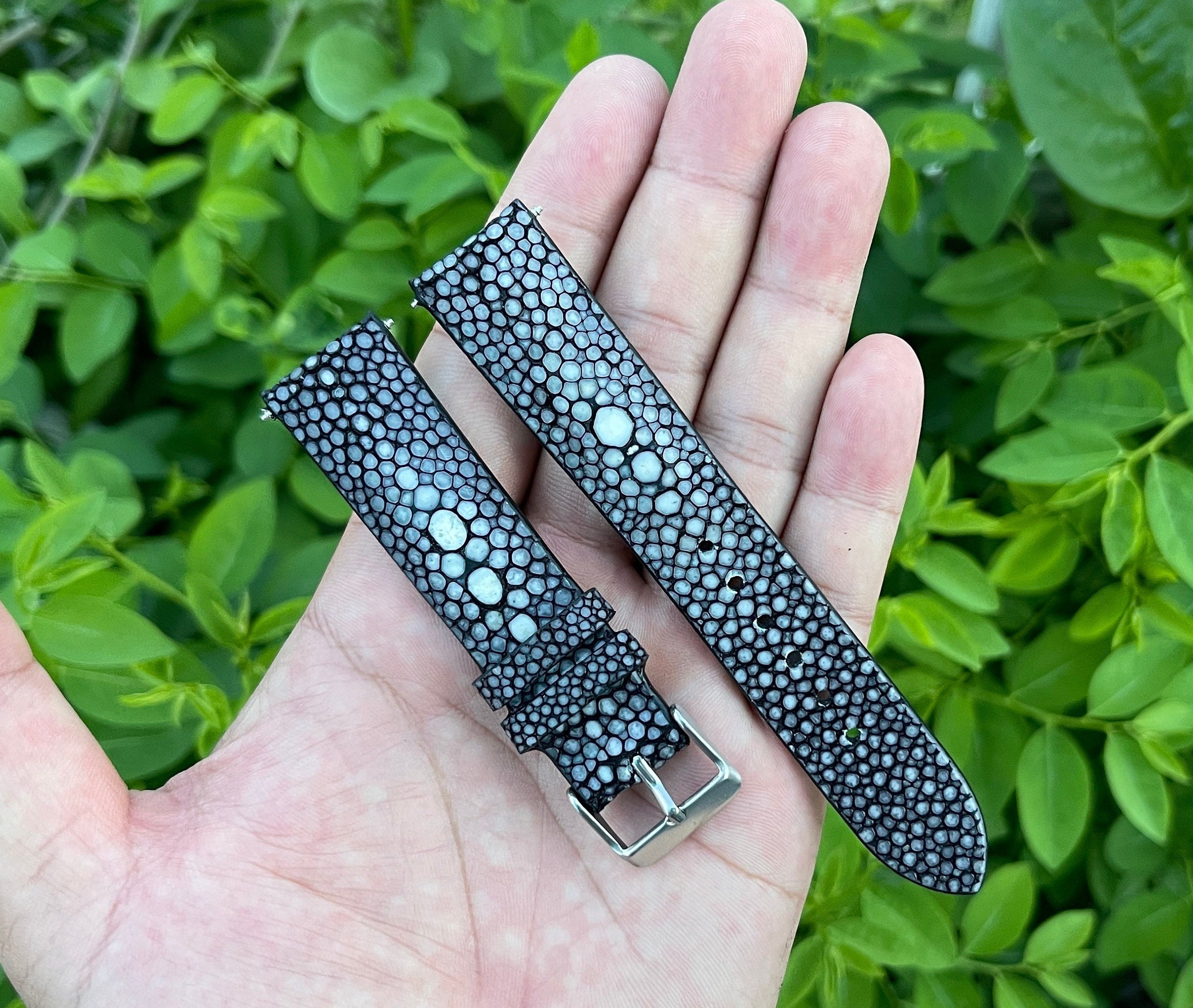 stingray watch strap