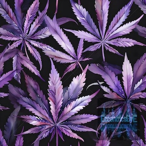 Puede incluir: Patrón repetitivo de hojas de cannabis moradas sobre un fondo negro. Las hojas tienen un efecto acuarela, con tonos lavanda y violeta. El diseño es una repetición sin costuras, adecuado para tela o papel pintado.