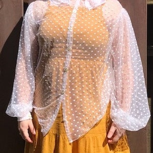 Vintage Style Sheer Button Up Lace Collar