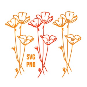 California Poppy SVG PNG, California State Flower, Poppy, Fichier de coupe pour autocollants, cadeaux, cricut