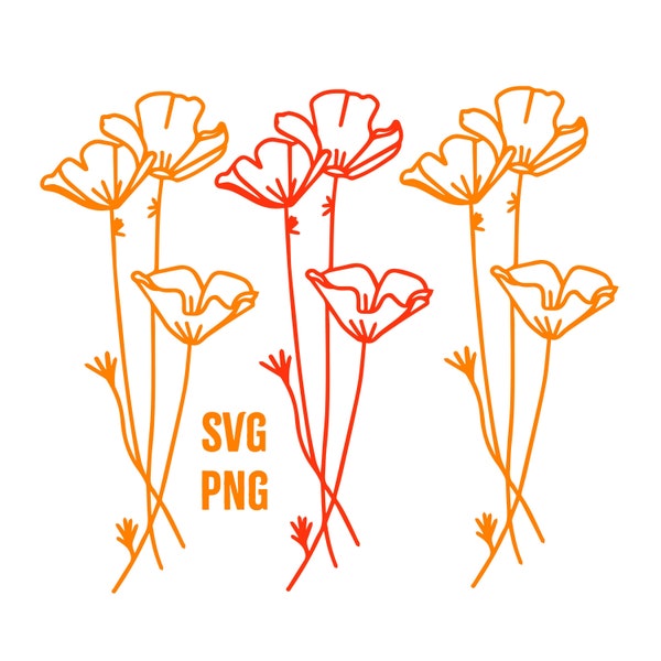 California Poppy SVG PNG, California State Flower, Poppy, Cut file for stickers, gifts, cricut