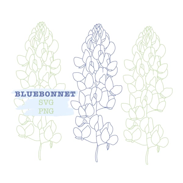 Texas Bluebonnet Wildflower PNG SVG Cut File voor lasersnijden, stickers, waterflessen en shirts