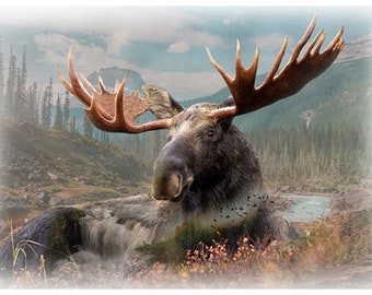 Call of the Wild -  A Hoffman Spectrum Digital print