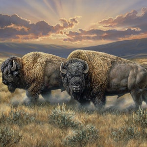 Dusty Plains (approx 35.5&quot; x 44&quot; Panel) - David Textiles - WW-3321-3-C