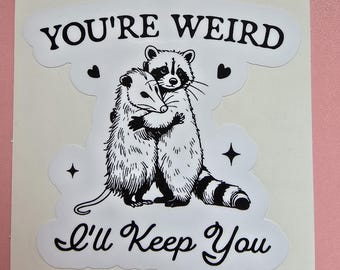 You're Weird I'll Keep You Sticker, Funny Opossum Raccoon Sticker, Funny Raccoon Opossum Bestie Sticker, Raccoon Sticker, Opossum Sticker