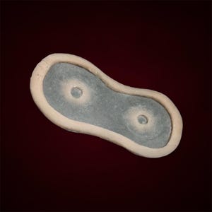 Puede incluir: Un plato de cerámica gris claro con dos hendiduras circulares. El plato tiene un borde elevado y una forma ligeramente irregular.