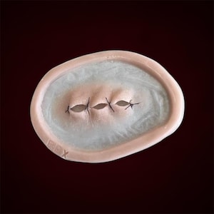 Encapsulated Silicone Stitched eye prosthetic, Scars, Horror, SFX, Makeup, cosplay, Gory, Halloween
