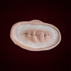 Encapsulated Silicone Stitched mouth prosthetic, Scars, Horror, SFX, Makeup, cosplay, Gory, Halloween