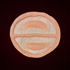 Prosthetic Lips, Lip Filler, Fancy Dress, SFX, Makeup, Beauty, Fantasy, Cosplay, Scifi, Halloween
