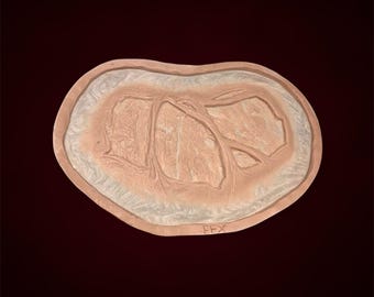 Zombie Decaying Skin Prosthetic, SFX, Makeup, Gore, Halloween, Halloween, Sci-fi, Fantasy, Horror, Cosplay, Blood