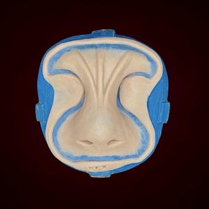 May include: A blue and white mold for creating a nose for a prosthetic face. The mold is made of a soft, flexible material and has a detailed design.
