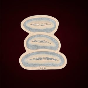 Set of 3 prosthetic open wounds, Gore, Halloween, Cosplay, SFX, Makeup, cuts, blood, Horror