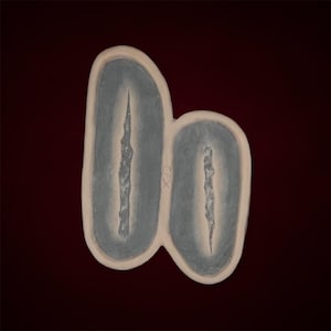 Schnitt Hautprothetik, Wunde, Augenwunde, Tierangriff, Halloween, Gore, Blut, Cosplay, Jäger, SFX, Makeup