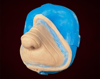 Fantasy Nasenprothetik, SFX, Makeup, Fantasy, Cosplay, Wer, Kostüm, Charakter, Wer, Anziehen, Knopfnase, Weihnachten, Halloween