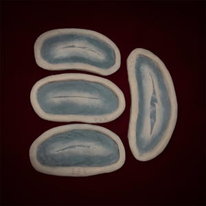 Encapsulated Silicone Cuts, Scars, Halloween, SFX, Makeup, gore, Cosplay