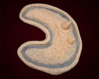 Puede incluir: Primer plano de un molde de color marrón claro, texturizado, en forma de media luna con tres púas puntiagudas en relieve. El molde tiene un borde interior azul texturizado y las letras "FFX" están inscritas en la parte inferior.