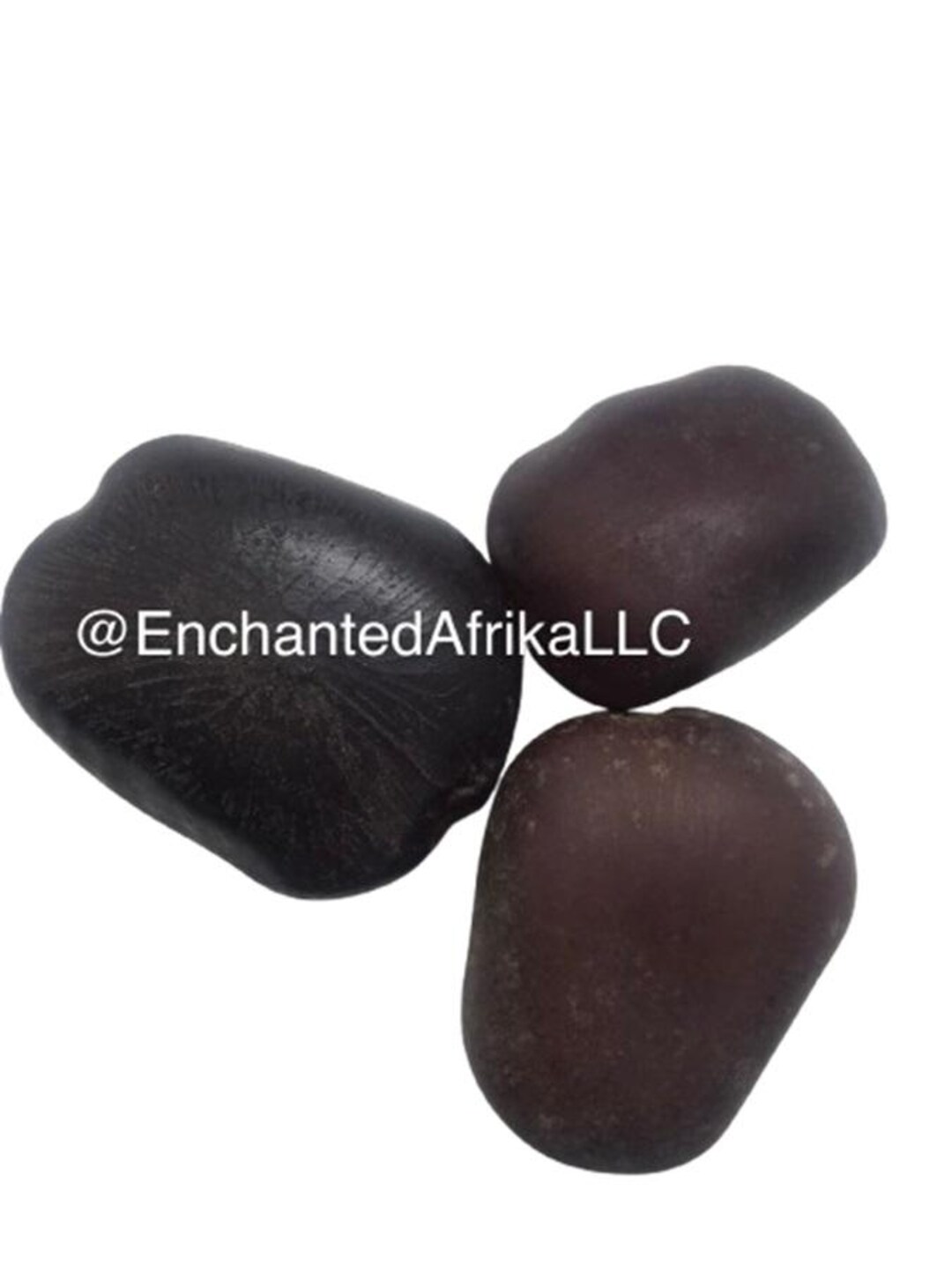 Entada Rheedii | African Dream Bean | Whole Seed - Etsy