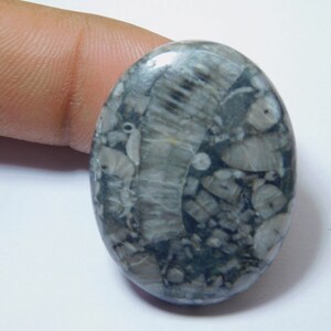 Natural Sengilite loose Rare Fossil Sengilite cabochon