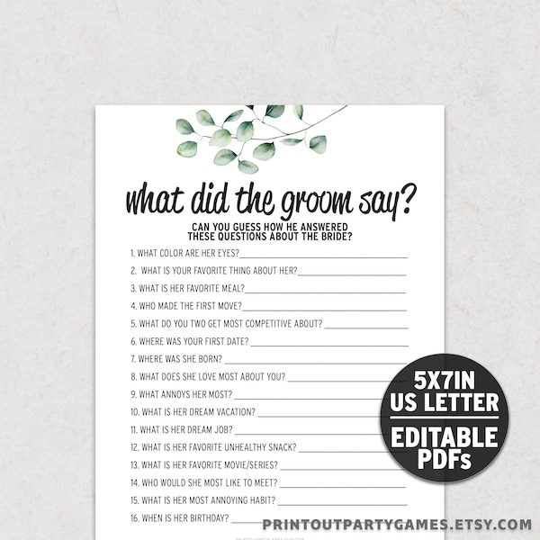 What Did the Groom Say Bachelorette or Bridal Shower Game, Ask the Groom Game, Editable Instant Download BE1 WDGS