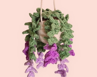Crochet Plante Verte, Décoration de Van, Crochet Plante Monstera, Cintre Rétroviseur, Cintre de Voiture