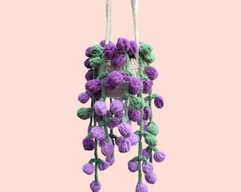 Crochet Plante Verte, Décoration de Van, Crochet Plante Monstera, Cintre Rétroviseur, Cintre de Voiture