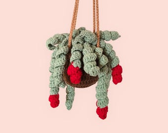 Crochet Plante Verte, Décoration de Van, Crochet Plante Monstera, Cintre Rétroviseur, Cintre de Voiture