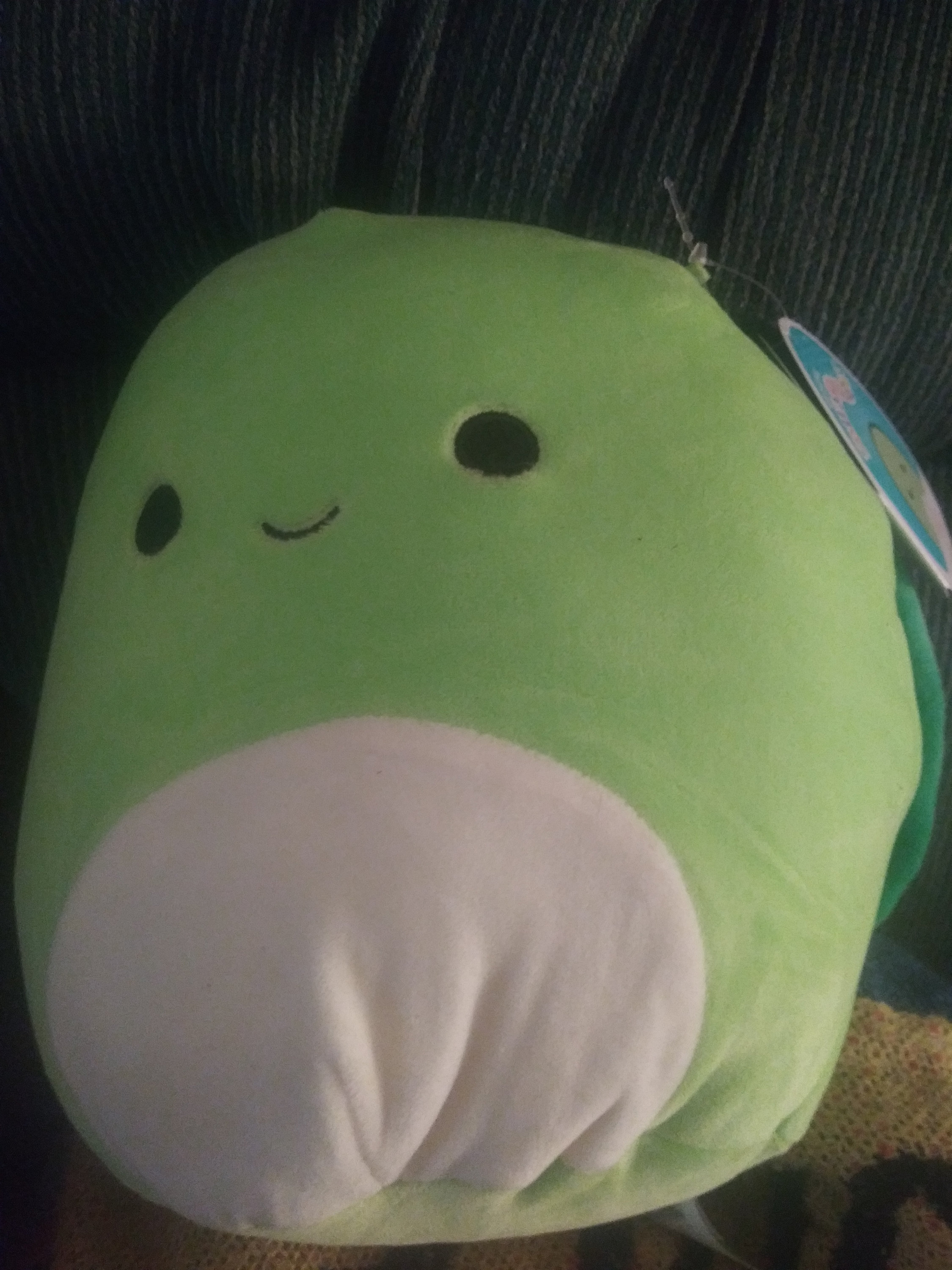 Henry the turtle squishmallow | Etsy