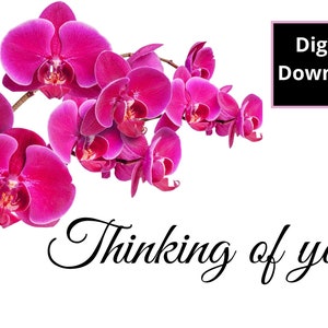 Druckbare Orchidee denkt an dich Beileidskarte, Sofortiger Download 7x5 Zoll Karten für Beileid, Beileidsblume Karte
