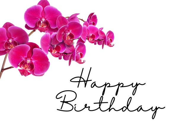 Happy orchid deals
