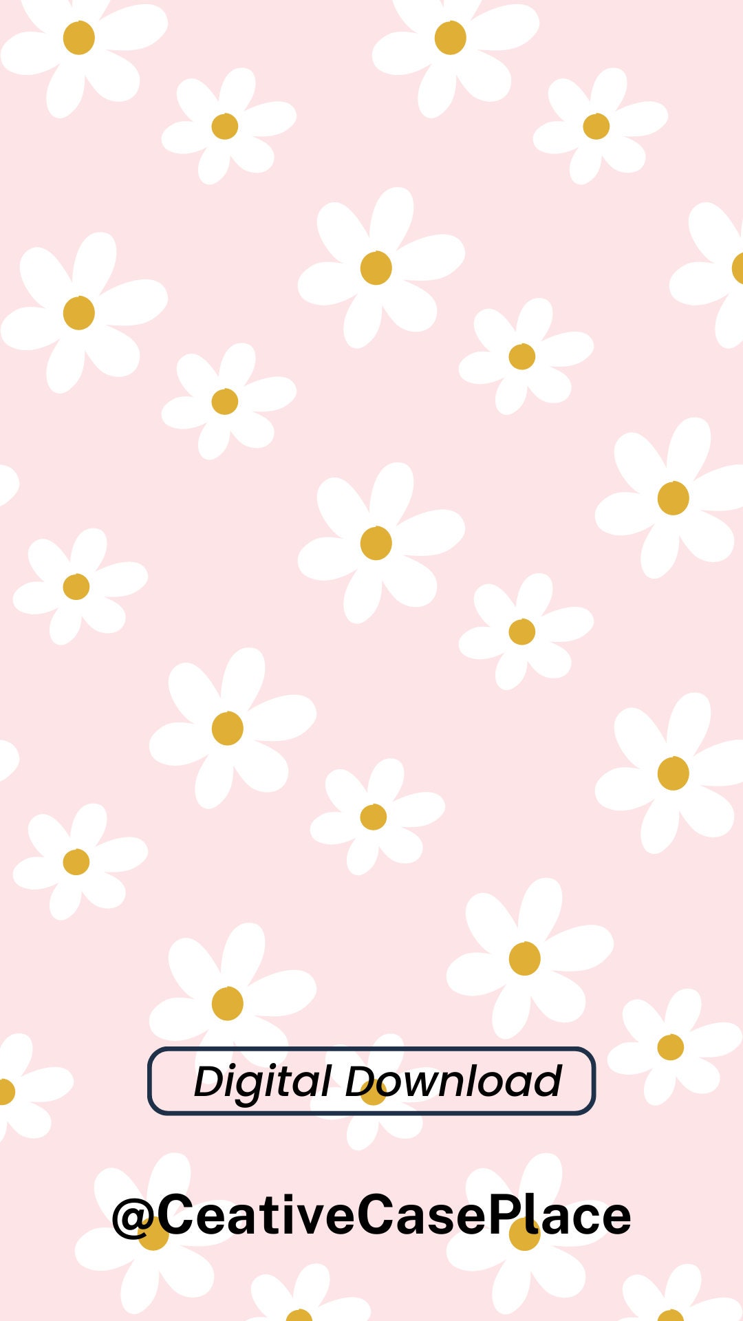 Single Flower - Coral Pink Daisy Wallpaper Download | MobCup