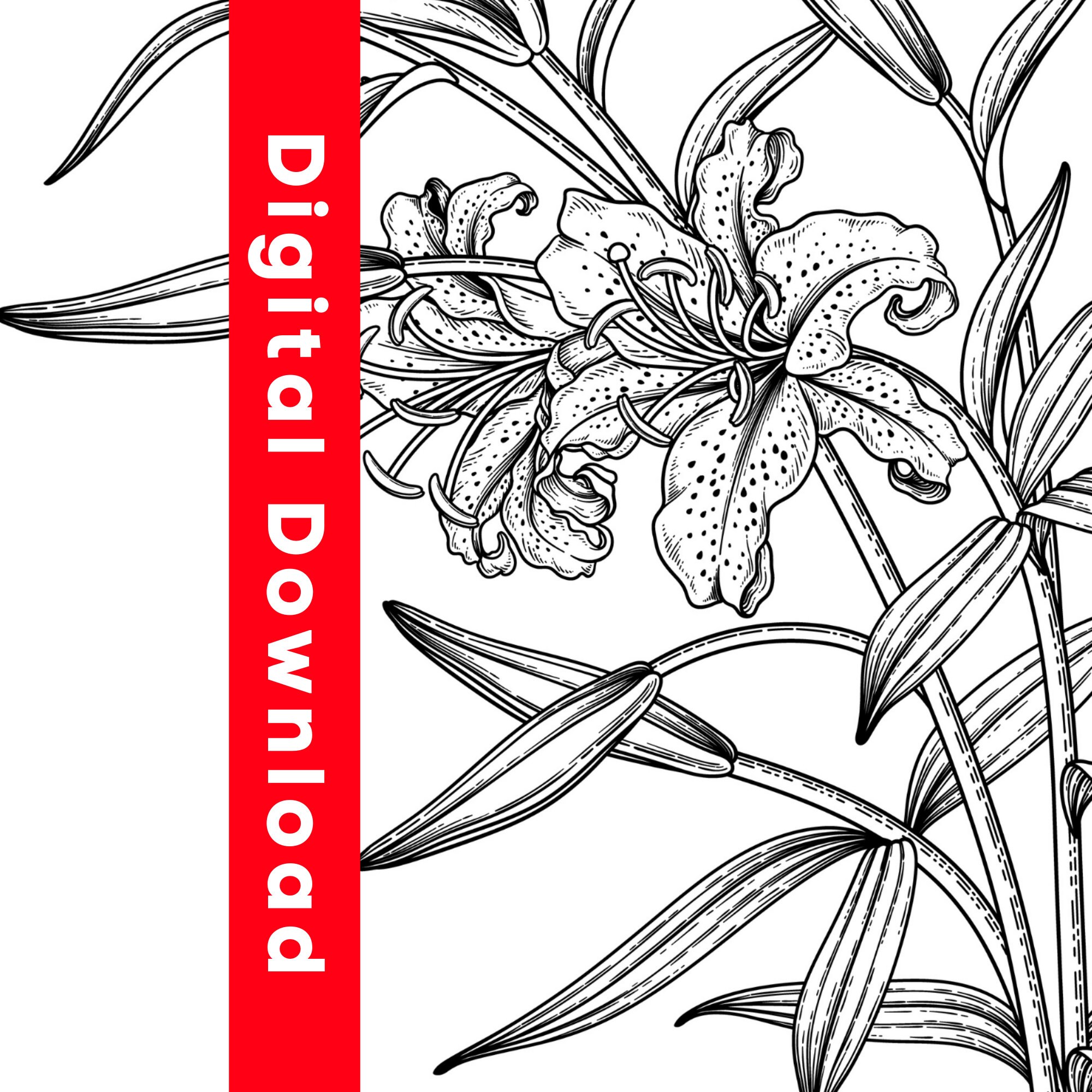 Flowers Coloring Book DIGITAL DOWNLOAD | Etsy