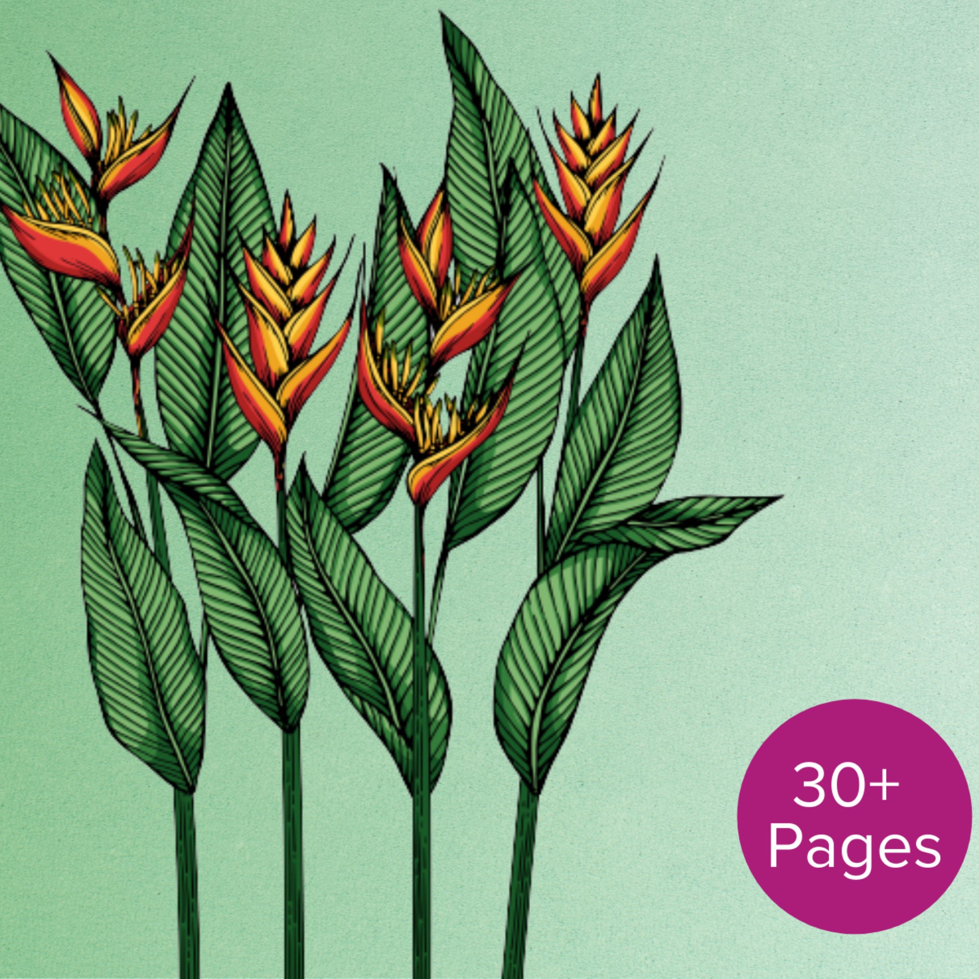 Flowers Coloring Book DIGITAL DOWNLOAD | Etsy