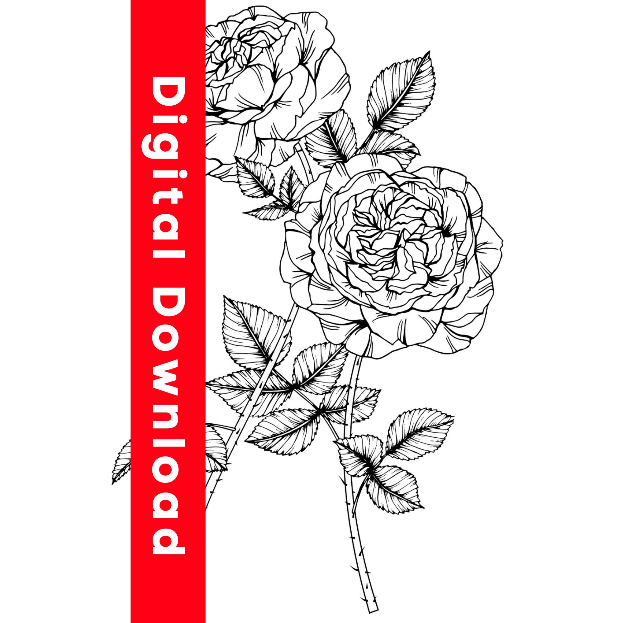 Flowers Coloring Book DIGITAL DOWNLOAD | Etsy