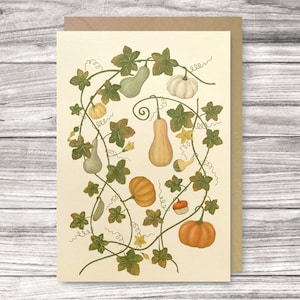 citrouille d'automne et gourde carte de vœux | Illustration de la saison d'automne | carte sur le thème de la récolte | Formats A6 et 5 x 7 pouces | Enveloppe incluse