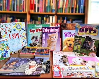 Scholastic Book Fair Box | Vintage | Kidcore | 80s & 90s Kid | 2000s Y2K | Nostalgia