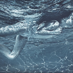 May include: A monochromatic artwork depicts a person swimming underwater. The swimmer's body is partially visible, with arms extended and legs extended. The water's surface is visible above, with light and shadow creating a sense of depth.