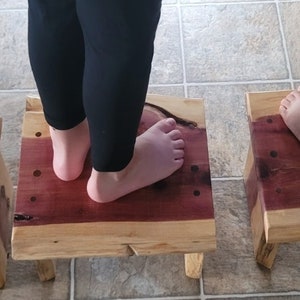 Cedar Live Edge Step Stool, Pet Stool, Kid&#39;s Steep Stool, Kitchen Stool