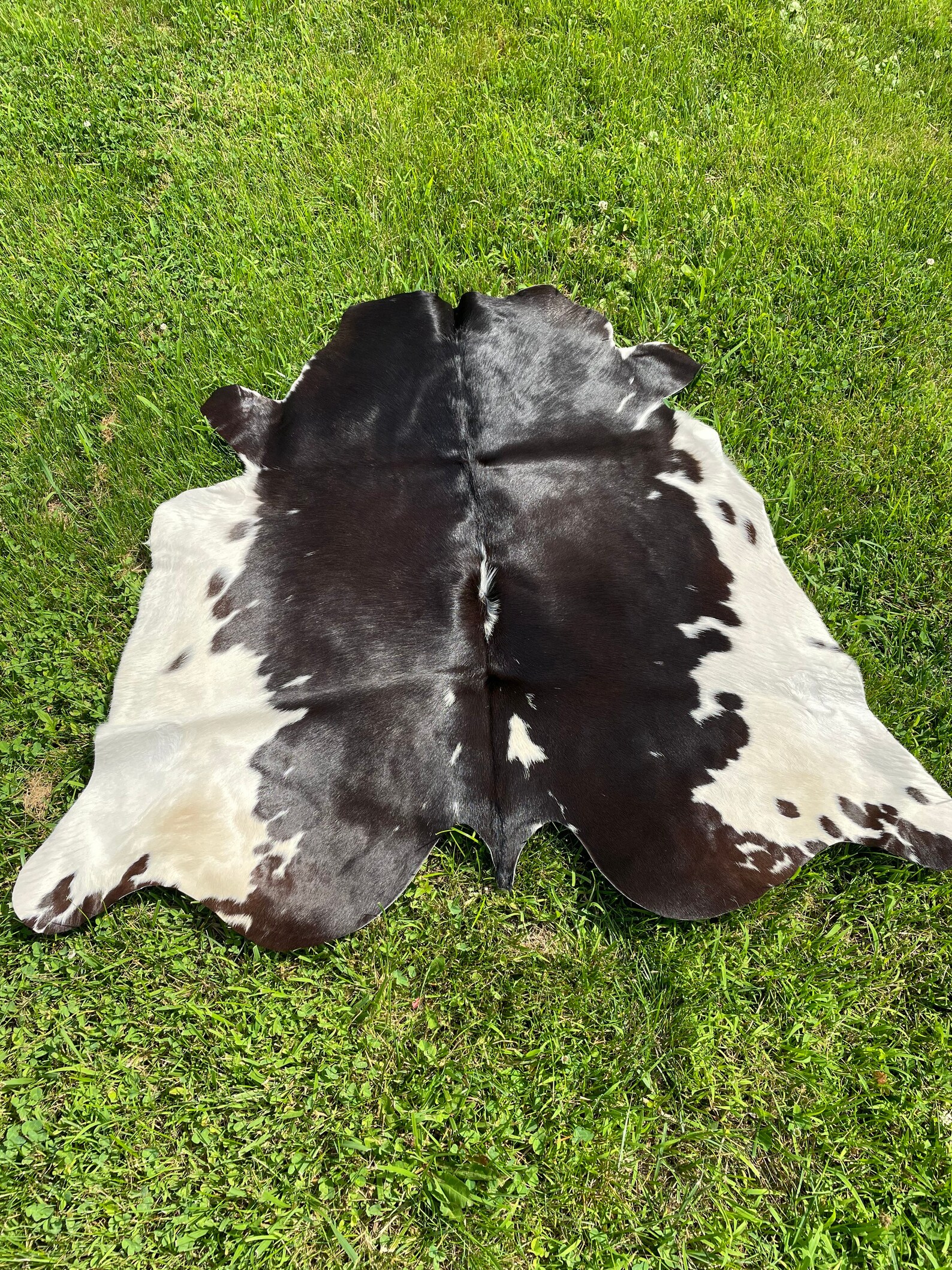 Genuine Small Hair On Cowhide Rug Etsy