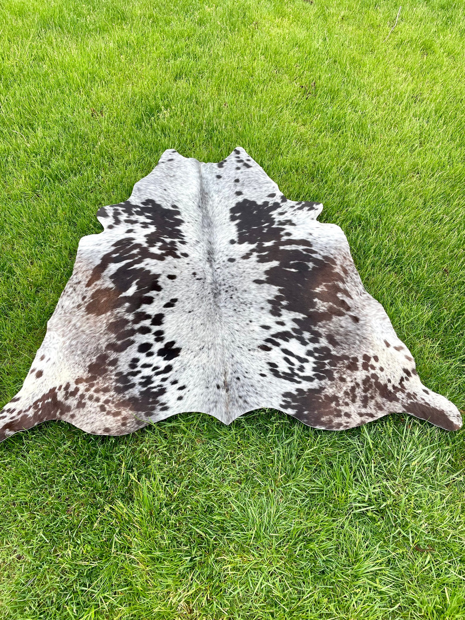 Genuine Tricolor Cowhide Rug, Speckled Brazilian Cow Hide Rug Etsy