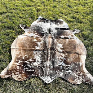May include: A brown and white cowhide rug with a natural, irregular shape. The rug has a spotted pattern with brown spots on a white background.