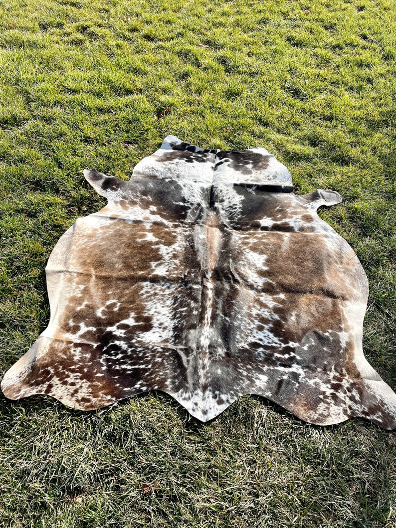 May include: A brown and white cowhide rug with a natural, irregular shape. The rug has a spotted pattern with brown spots on a white background.