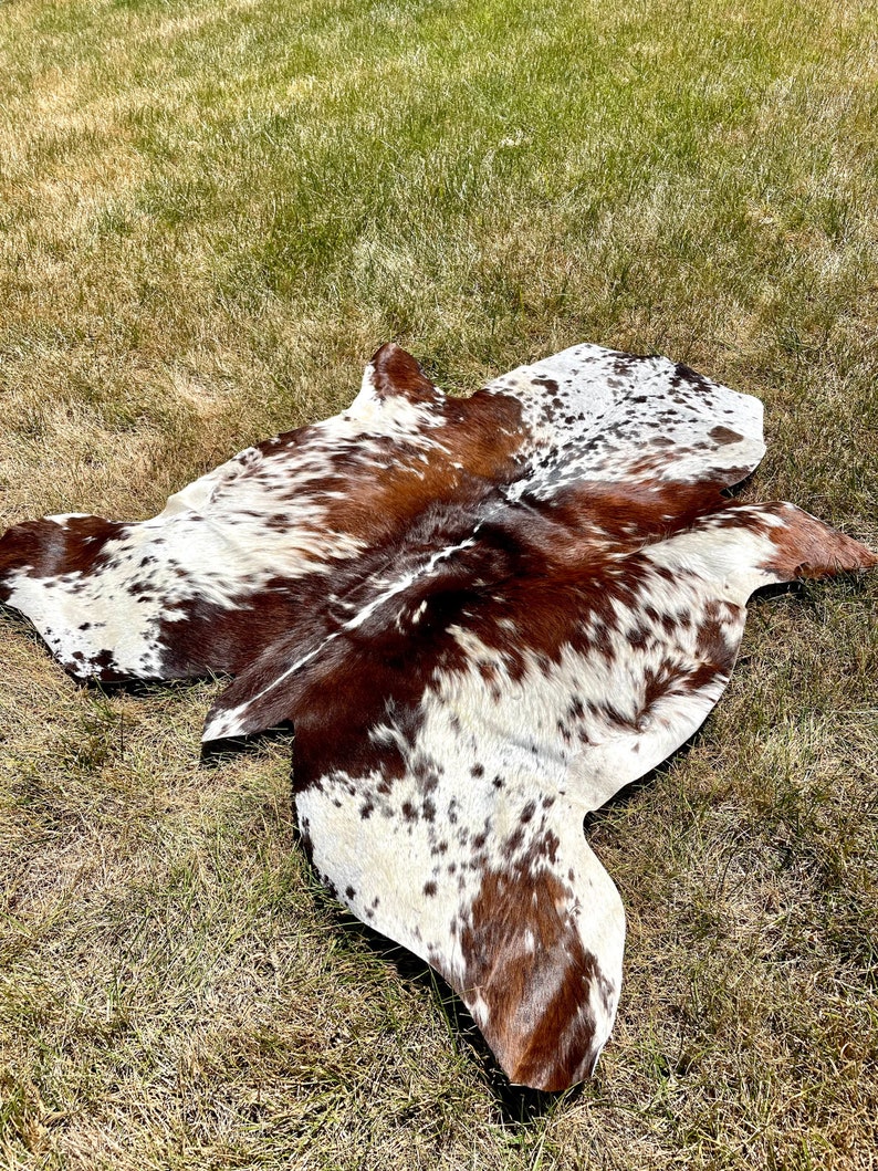 Genuine Tricolor Hair on Cowhide Rug Cow Hide Rug Etsy