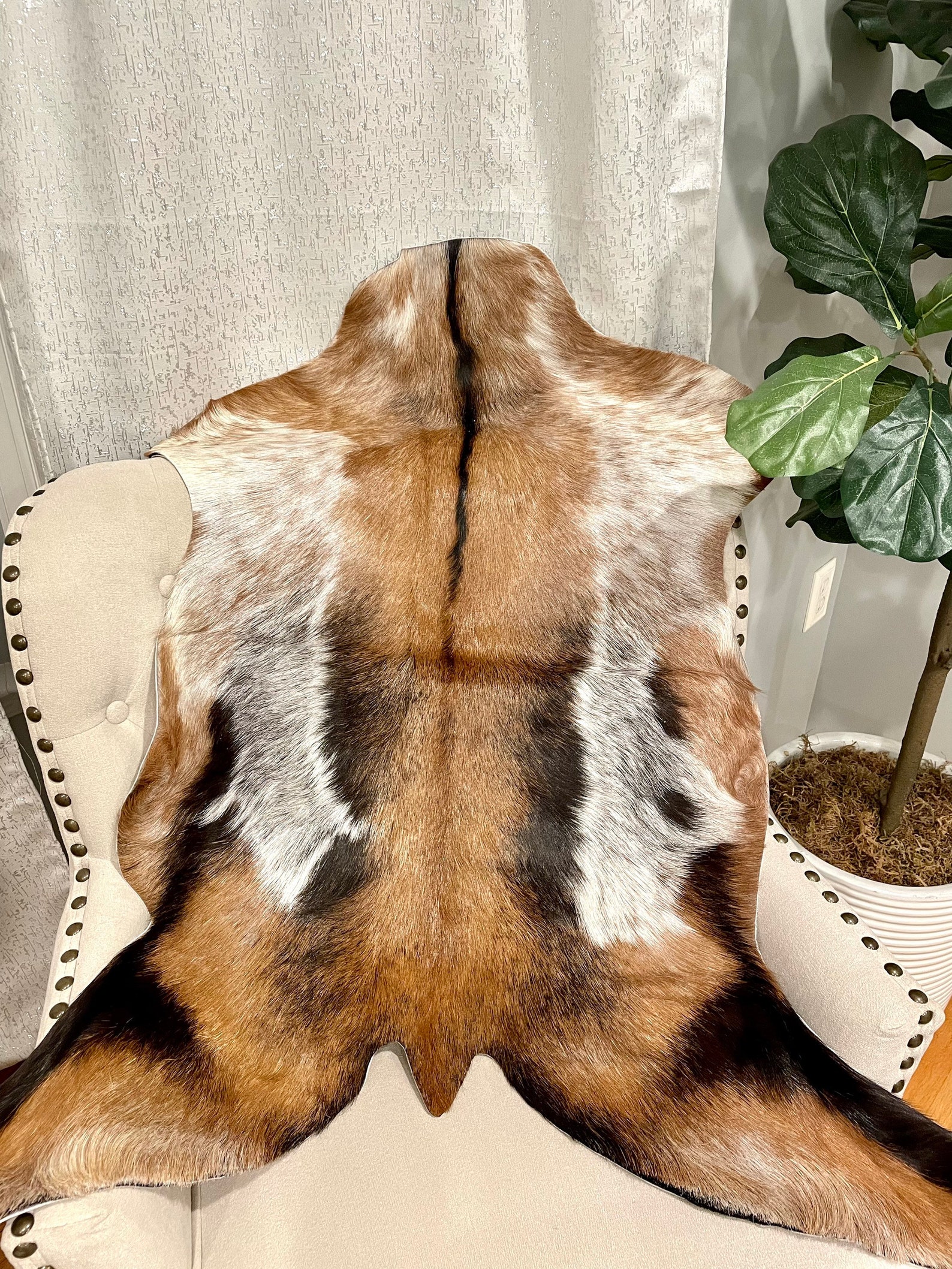Genuine Hair on Goathide Rug, Goat Hide - Etsy