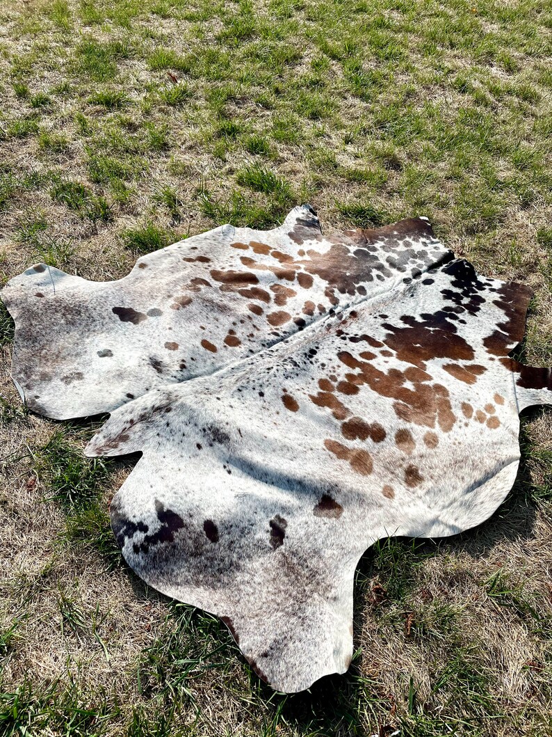 Genuine Tricolor Cowhide Rug Speckled Brazilian Cow Hide Rug Etsy