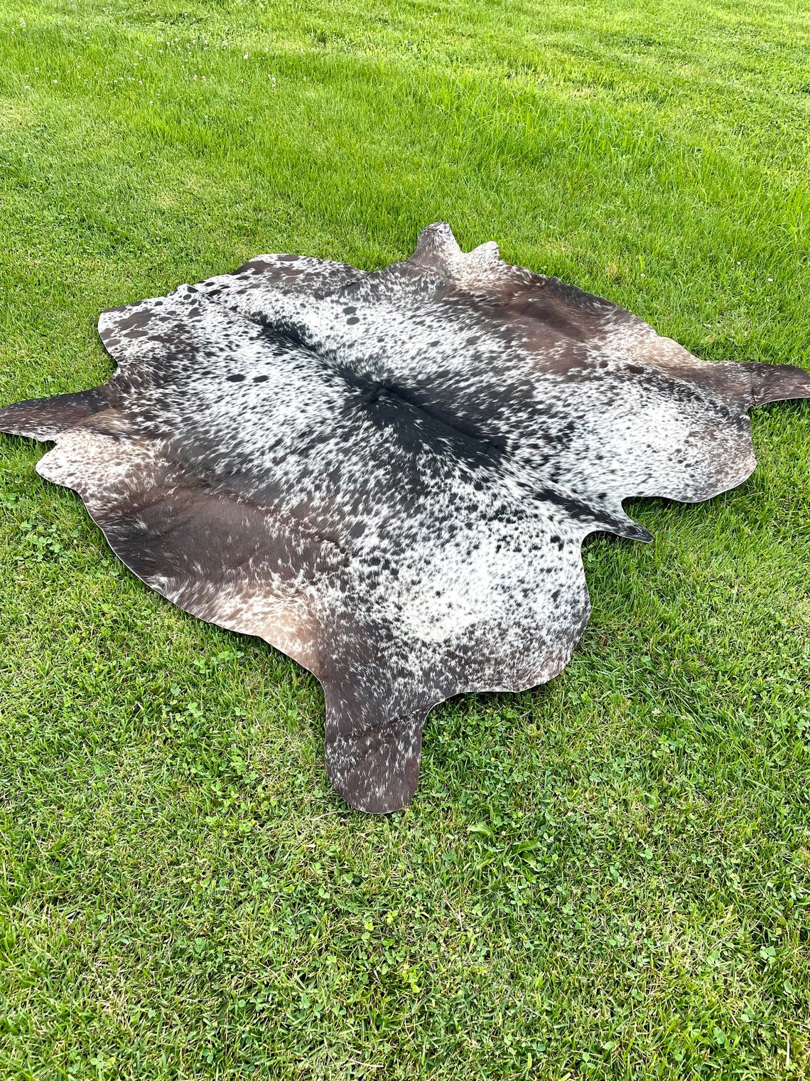 Genuine Hair On Large Cowhide Rug 67 x 70 As pictured Etsy