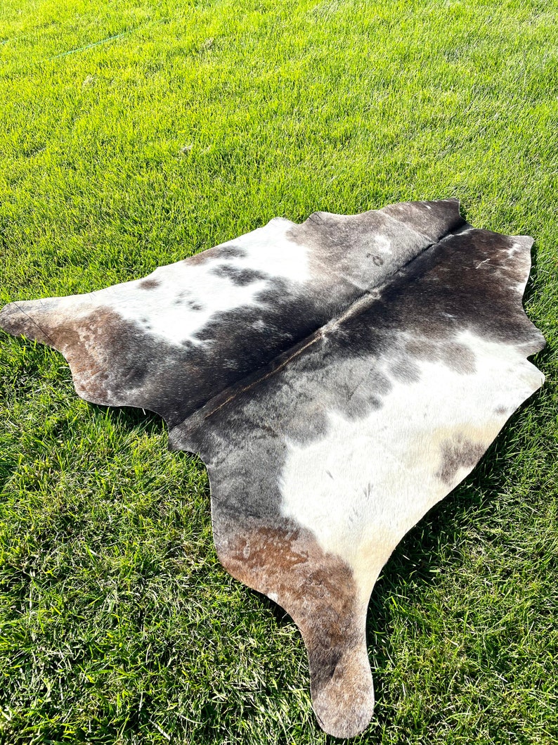 May include: A white and brown cowhide rug with a natural, irregular shape. The rug is laid out on a green grassy surface.