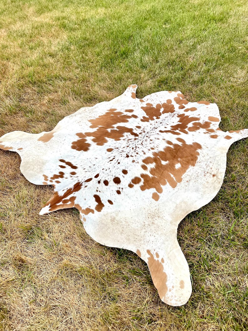 Genuine Tricolor Hair on Cowhide Rug Speckled Brazilian Cow Etsy