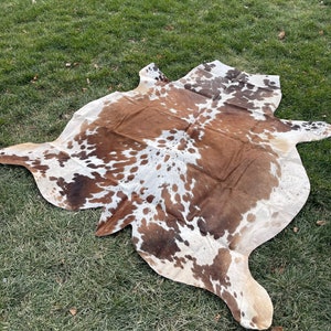 May include: A brown and white cowhide rug with a natural, spotted pattern. The rug is laid out on a green grassy surface.