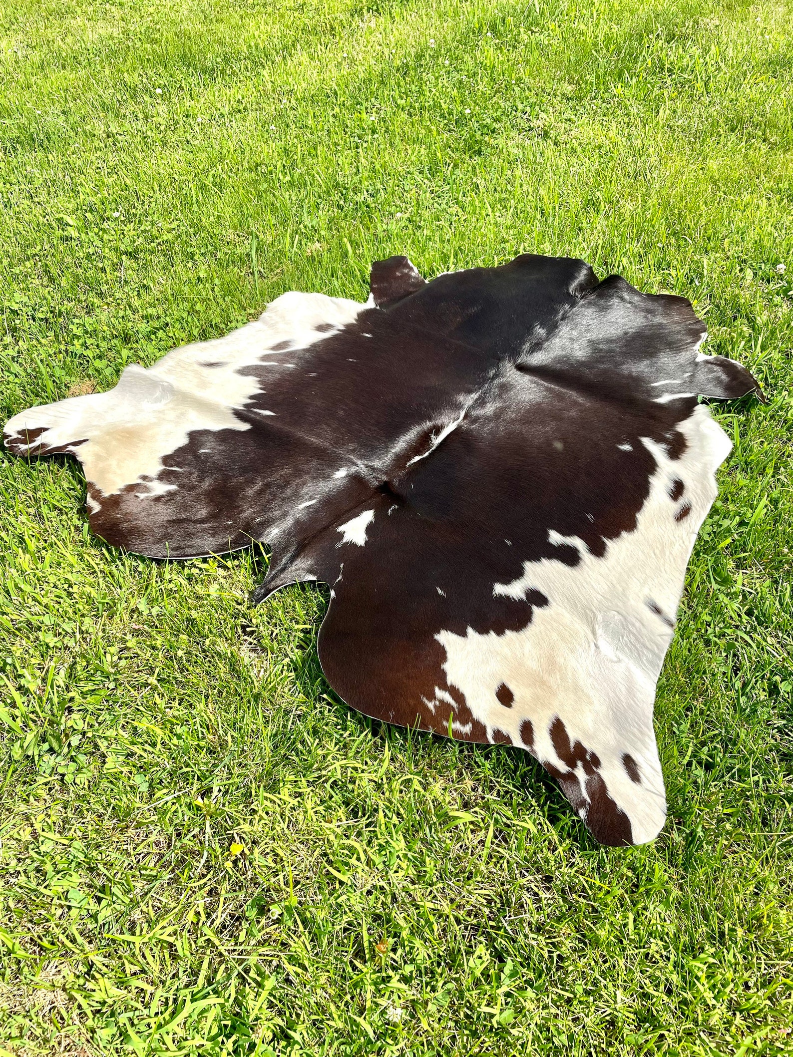Genuine Small Hair On Cowhide Rug Etsy