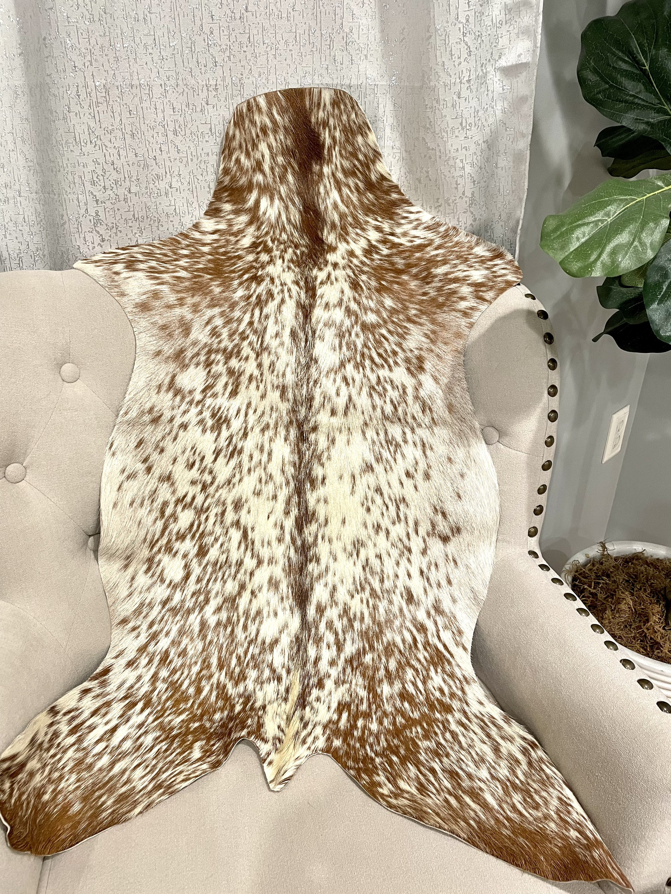 Genuine Hair on Goathide Rug, Goat Hide - Etsy